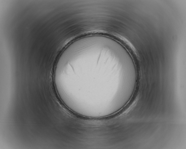 X0000111360785200907311012