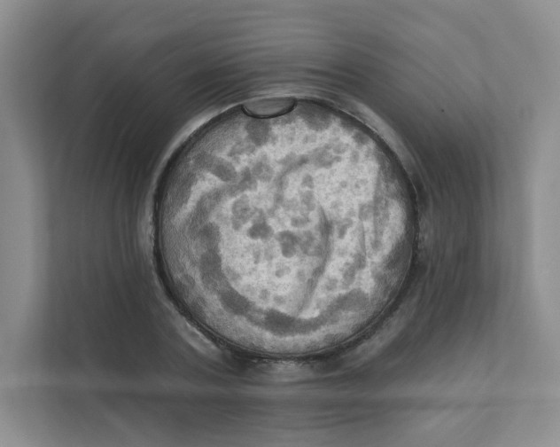 X0000111360787200907311012