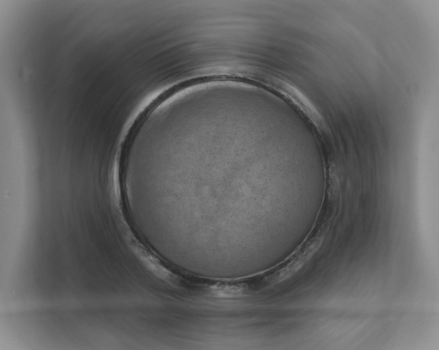 X0000111360788200907311012