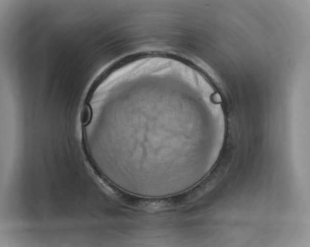 X0000111360791200907311012