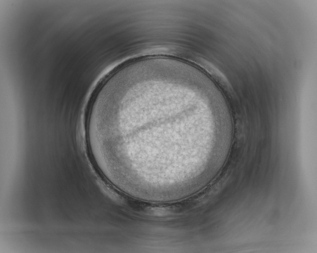 X0000111360792200907311012