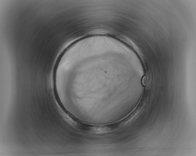 X0000111360795200907311012