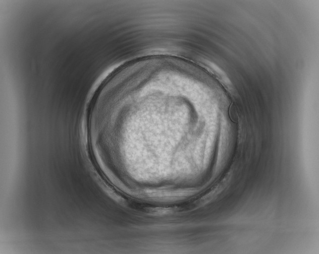 X0000111360796200907311012