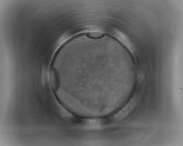 X0000111360797200907311012