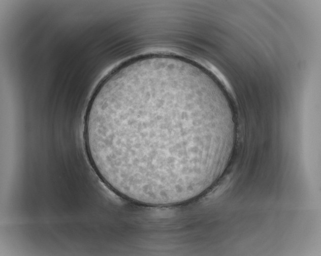 X0000111360799200907311012