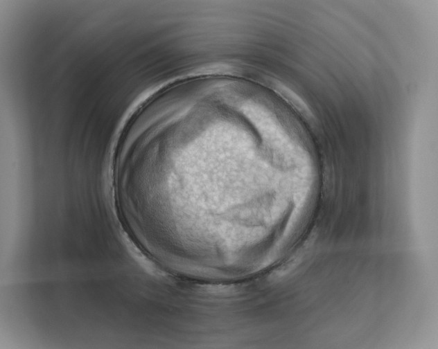 X0000111360800200907311012