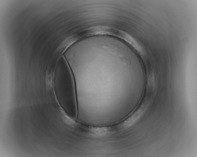 X0000111360801200907311012