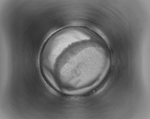 X0000111360803200907311011