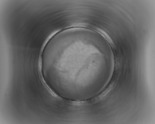 X0000111360804200907311011