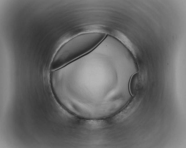 X0000111360805200907311011