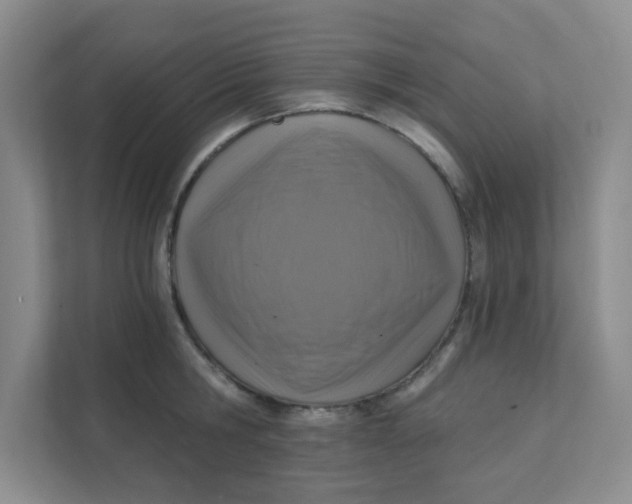 X0000111360806200907311011