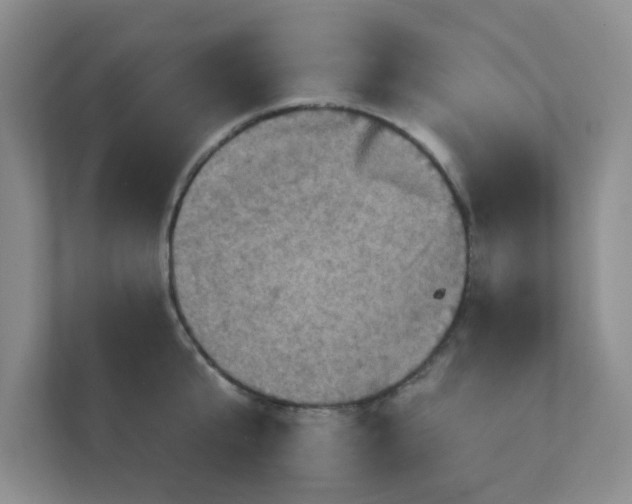 X0000111360807200907311011