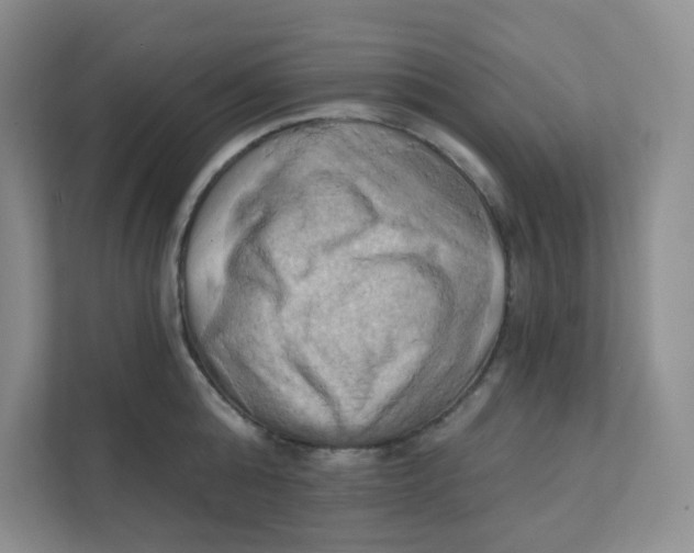 X0000111360808200907311011