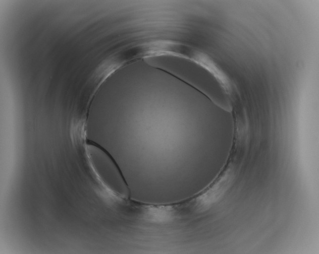 X0000111360809200907311011