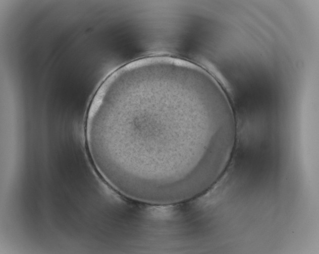 X0000111360810200907311011