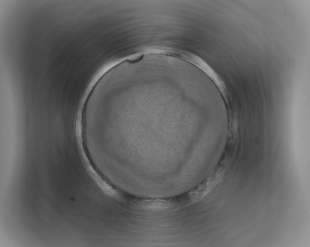 X0000111360811200907311011