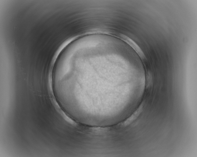 X0000111360812200907311011