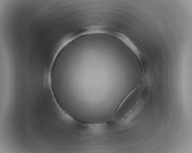 X0000111360813200907311011