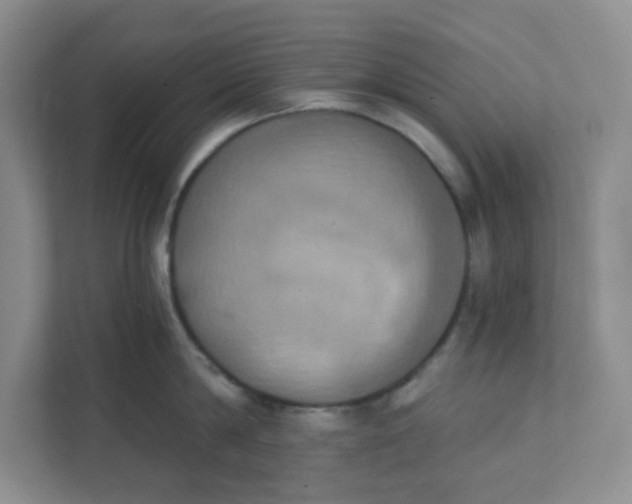 X0000111360814200907311011