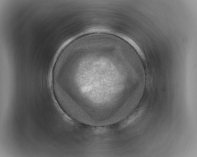 X0000111360815200907311011