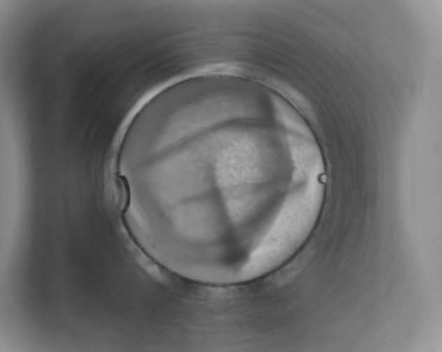 X0000111360816200907311011