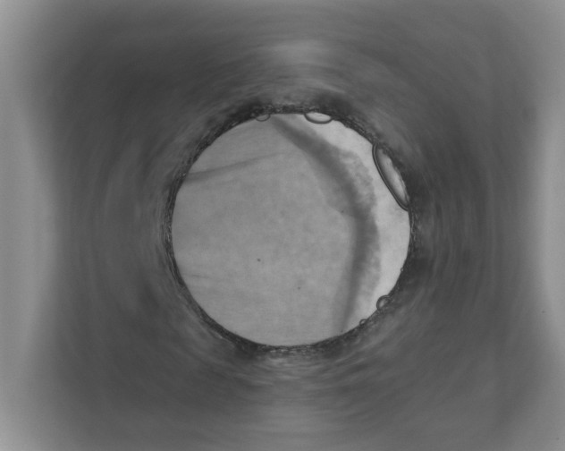 X0000111360817200907311011