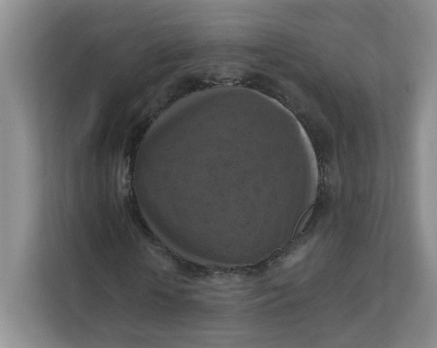 X0000111360818200907311011