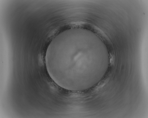 X0000111360819200907311011