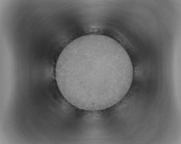 X0000111360820200907311011