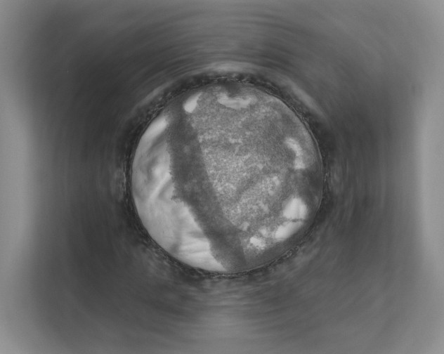 X0000111360821200907311011