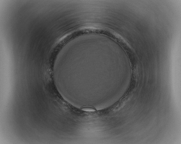 X0000111360822200907311011