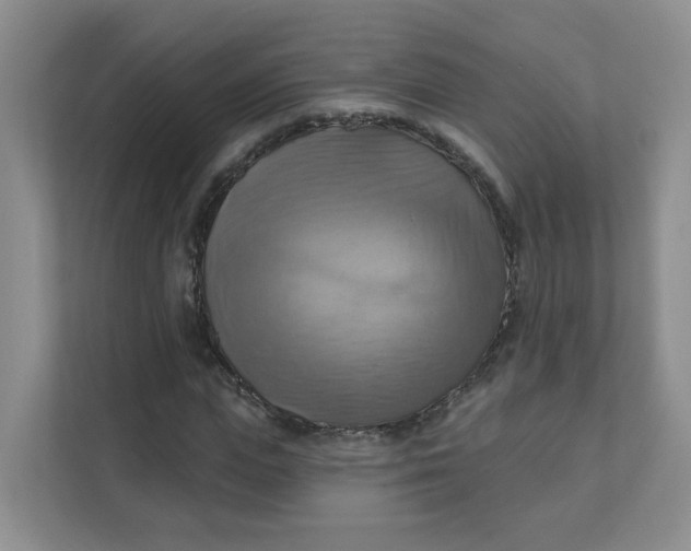 X0000111360823200907311011