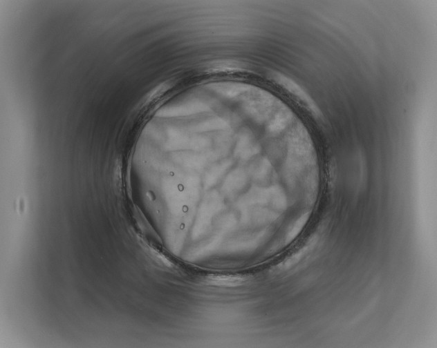 X0000111360825200907311011