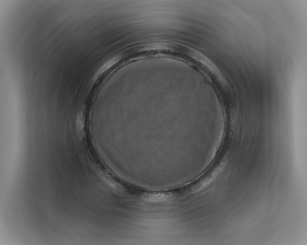 X0000111360826200907311011