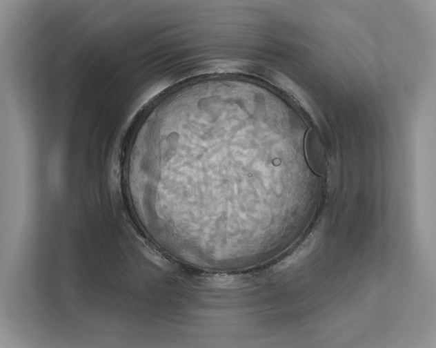 X0000111360827200907311011