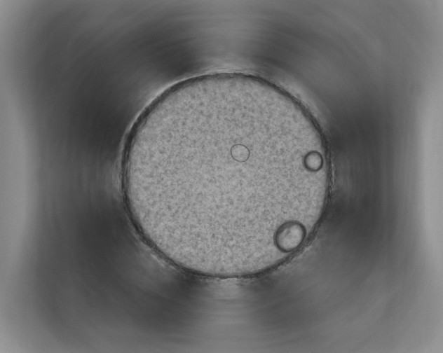 X0000111360828200907311011