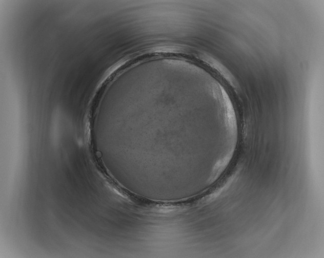 X0000111360829200907311011