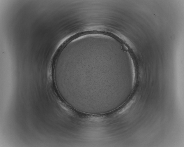 X0000111360830200907311011