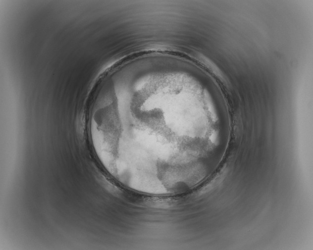 X0000111360831200907311011