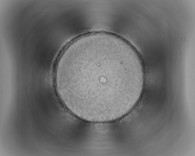 X0000111360832200907311011