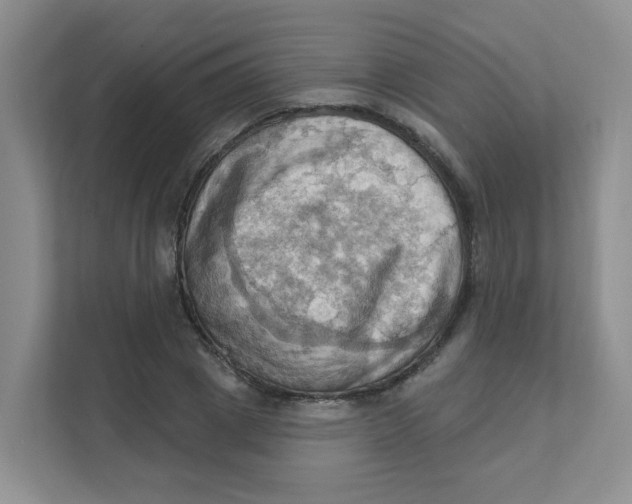 X0000111360833200907311011