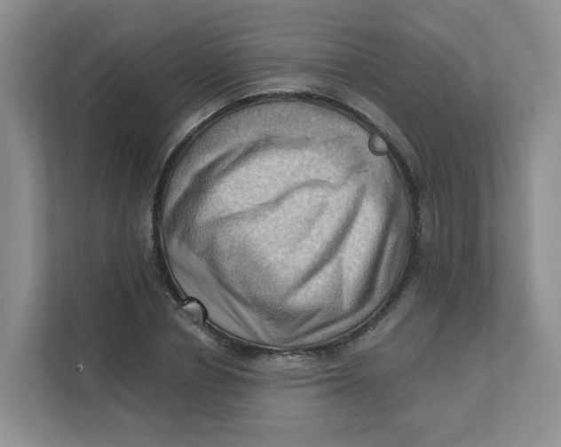 X0000111360834200907311011