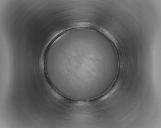 X0000111360835200907311011