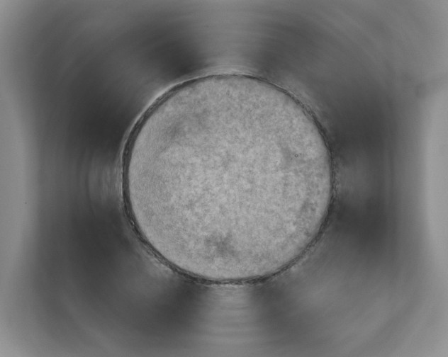 X0000111360836200907311011