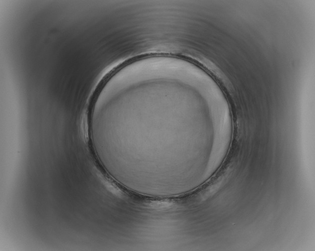 X0000111360838200907311011