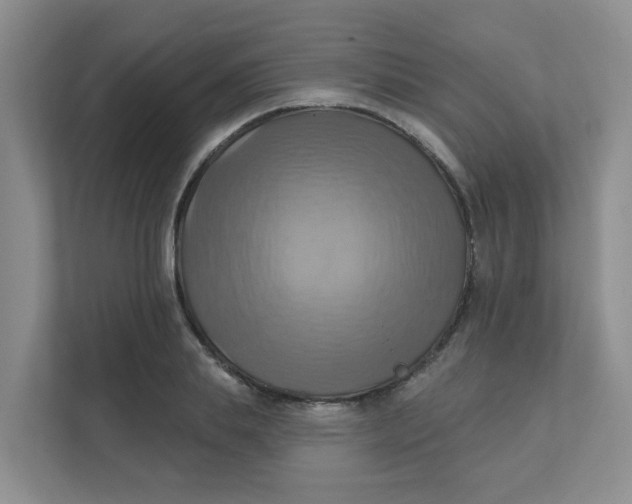 X0000111360839200907311011