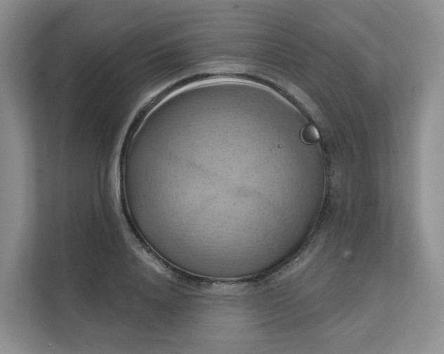 X0000111360840200907311011