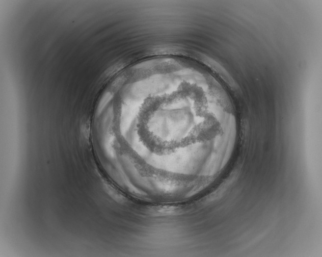 X0000111360841200907311011