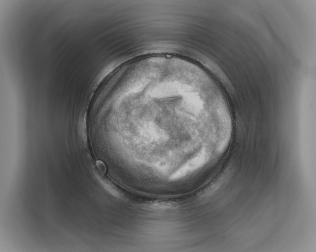 X0000111360842200907311011