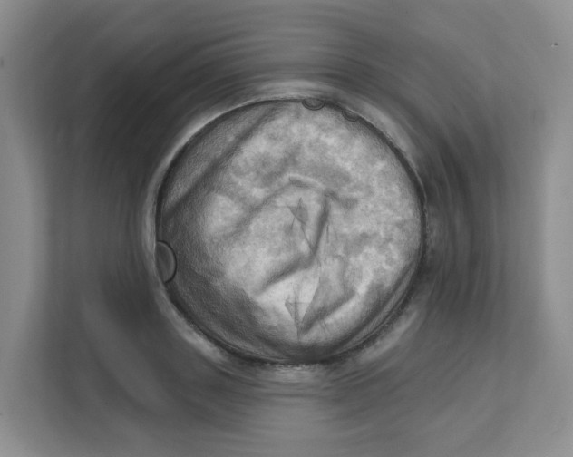 X0000111360843200907311011